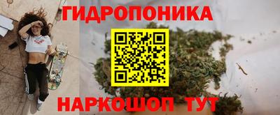 гидропоника Азнакаево