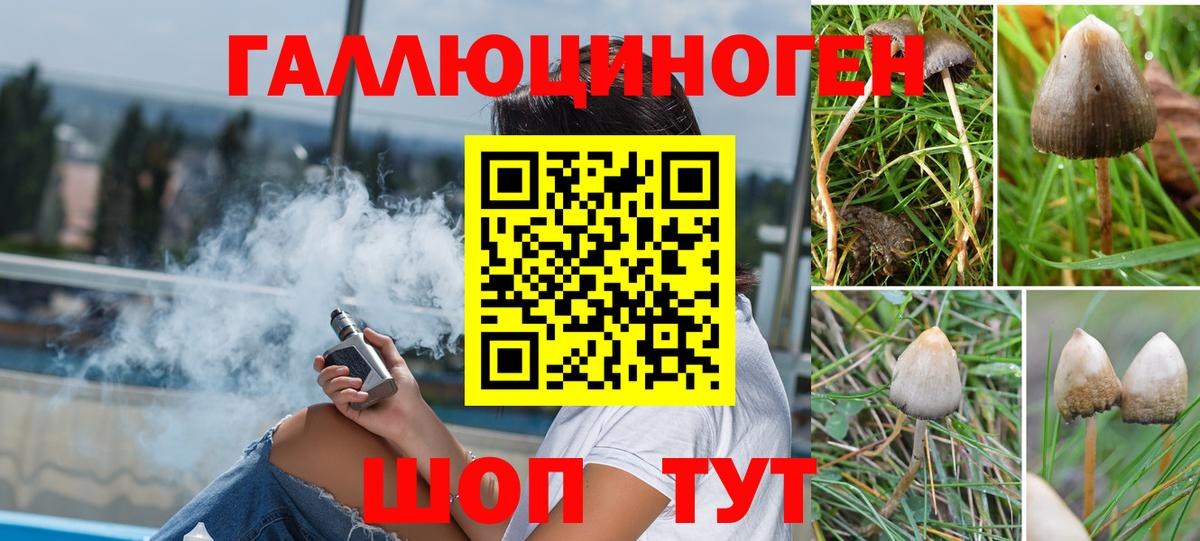 Псилоцибиновые грибы Magic Shrooms Ангарск