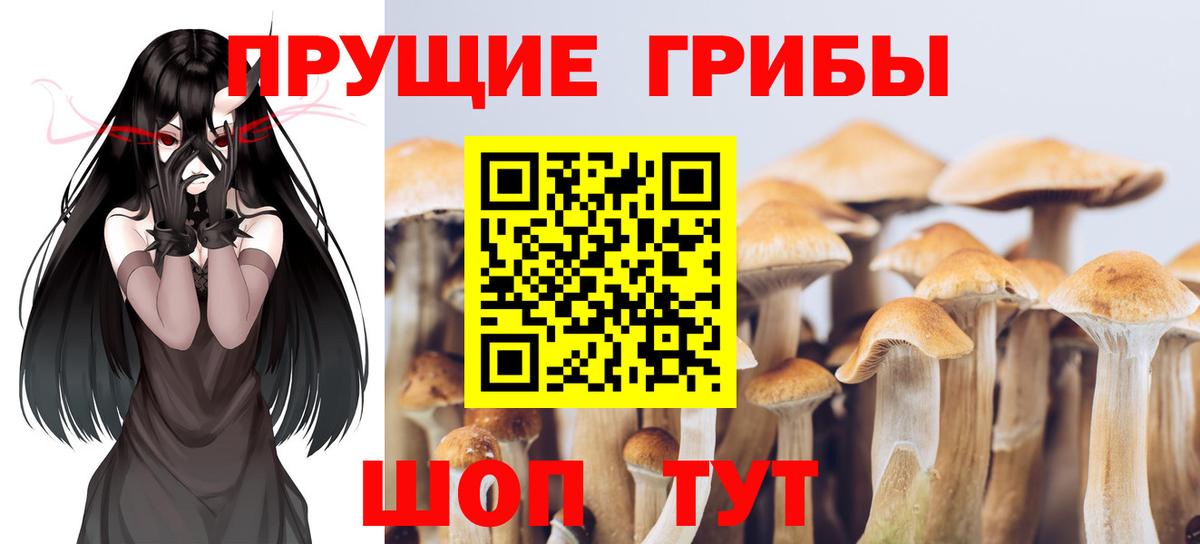 Галлюциногенные грибы Psilocybine cubensis  Вход с VPN  Ангарск 